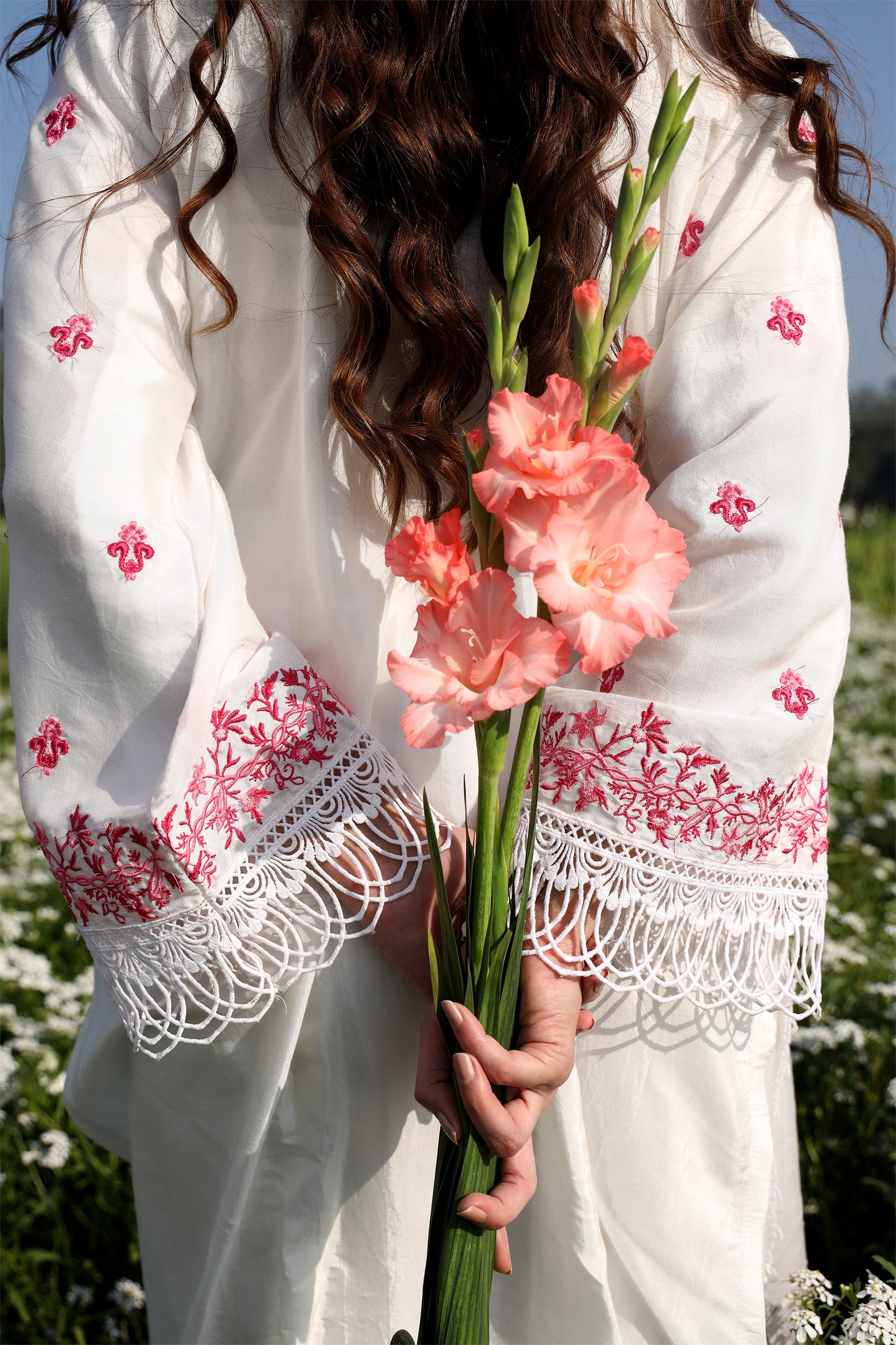 Gladiolus