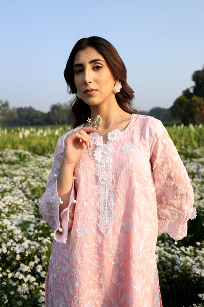 Blush